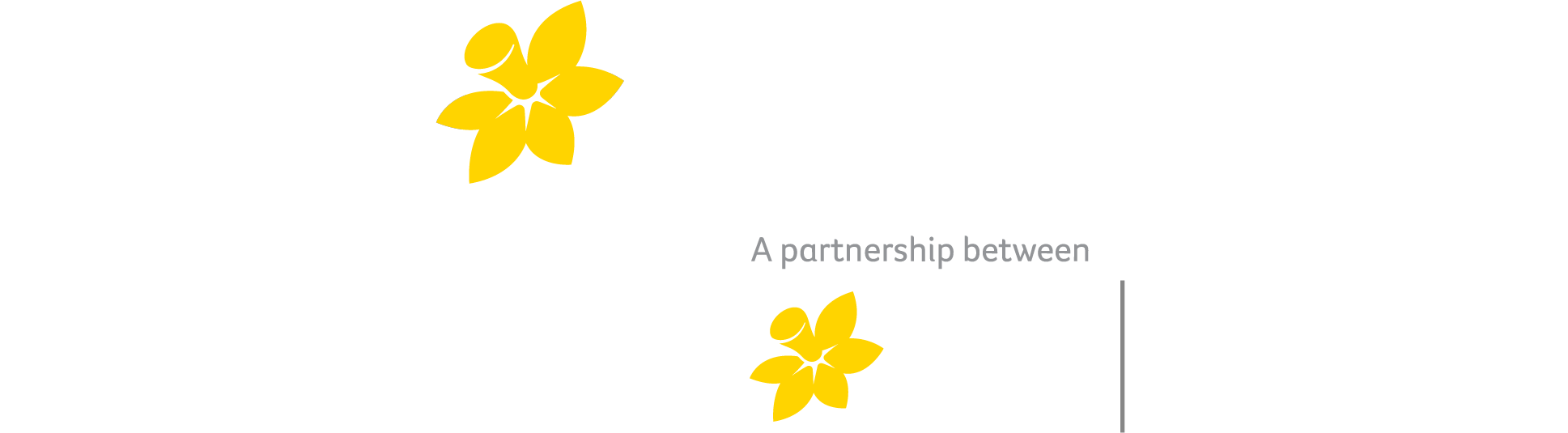 The Daffodil Centre - A partnership between Cancer Council and The University of Sydney